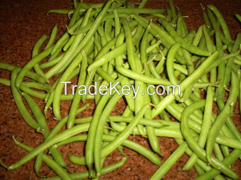 FRESH GREEN BEANS