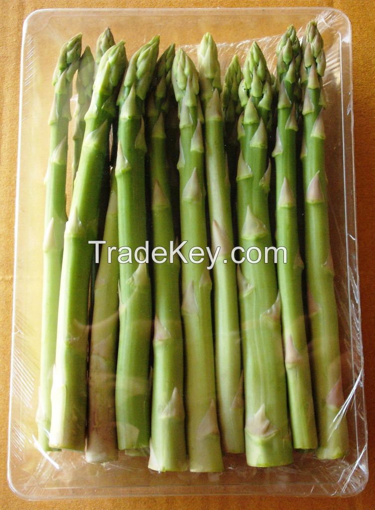 Fresh Asparagus