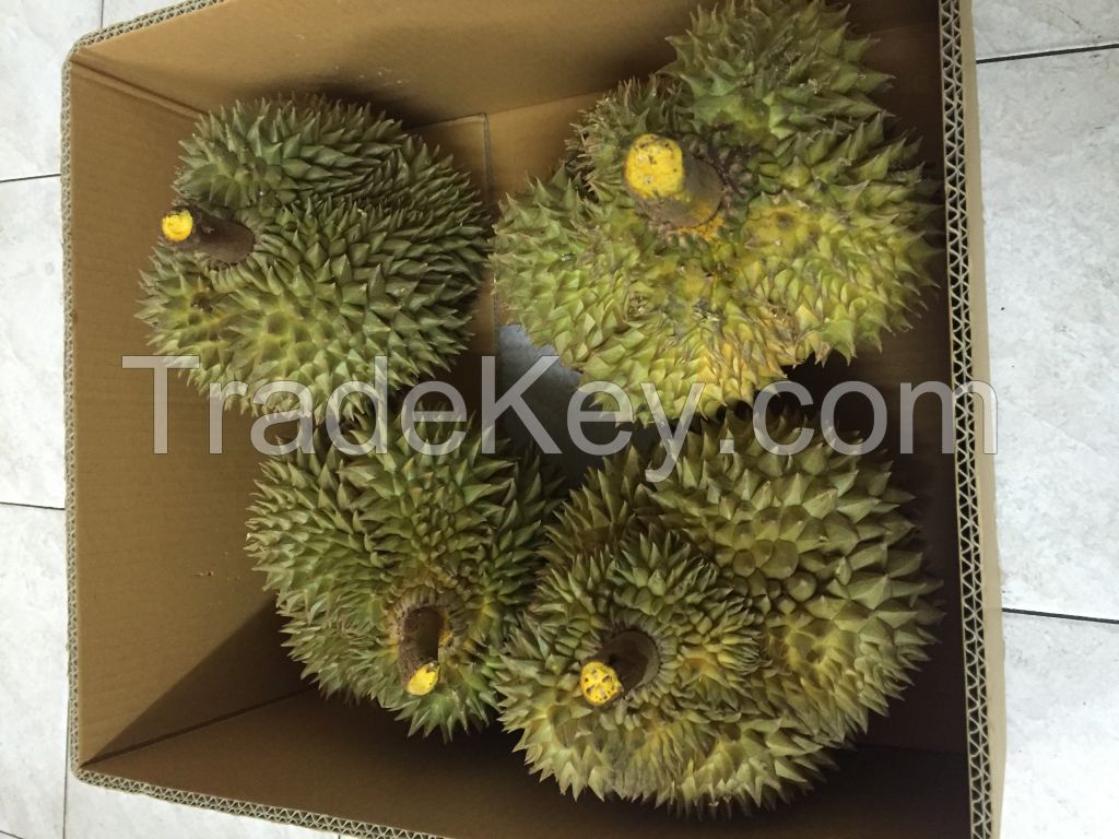 Durian (Mon Thong)