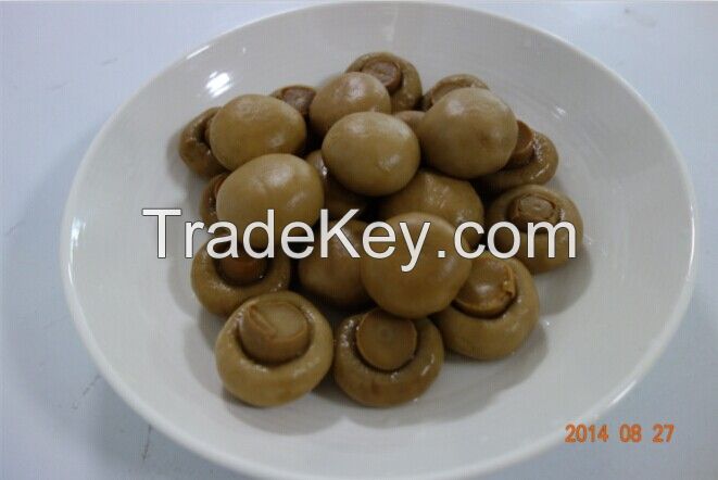 Yellow Preserved Mushroom in Brine Special for Korea