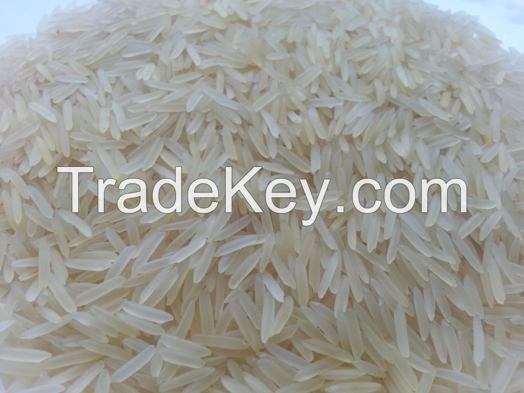 1121 Golden Sella / Parboiled Basmati Rice
