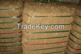 Coconut fiber (Vietnam Origin)