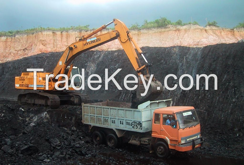 steam coal from indonesia