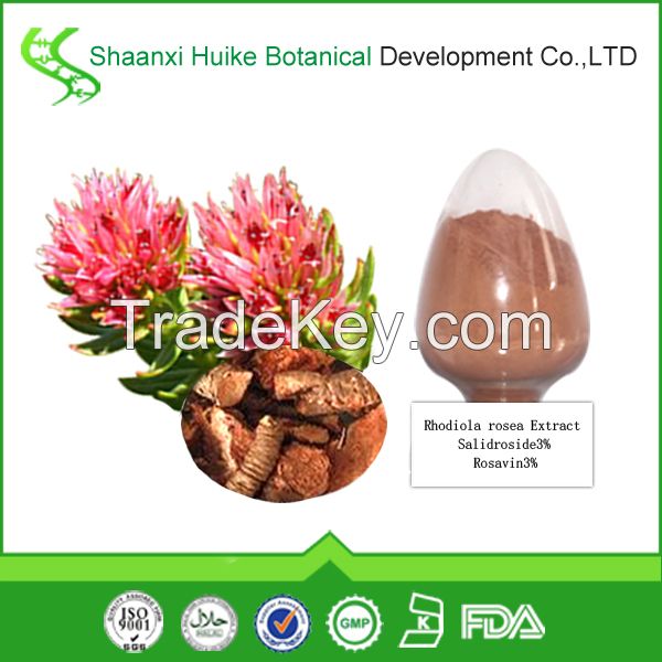 100% Natural Rhodiola Rosea P.E. with Salidroside