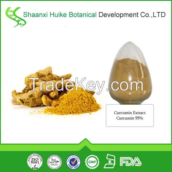 Bulk Supply High Quality Curcumin 95%