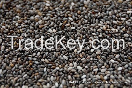Natural Non-GM Chia Seeds
