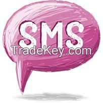 CMS Website, Hosting, Bulk SMS, Payment Gateway, Domain