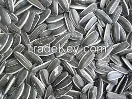 Sunflower Seeds