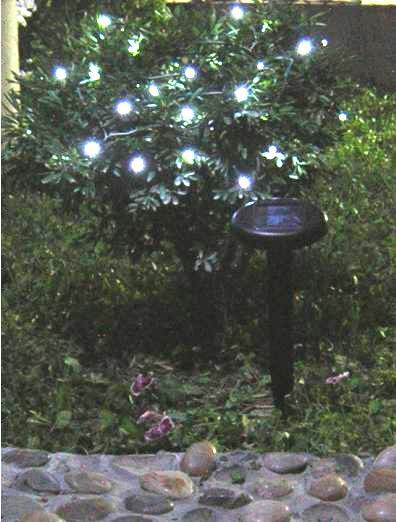 Solar Garden Light