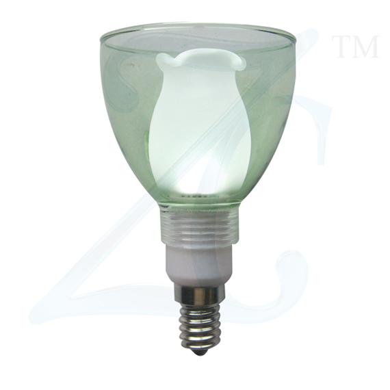 LED glass spot light
