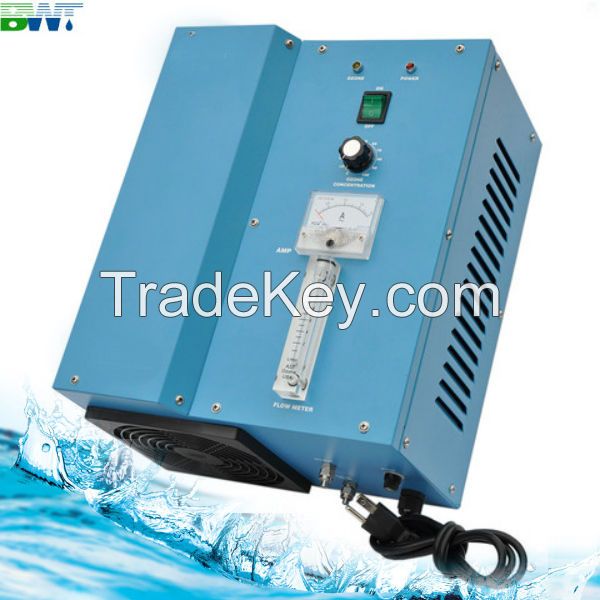 8g/h Water Ozone Treatment For Swimming Pool Ozonizer