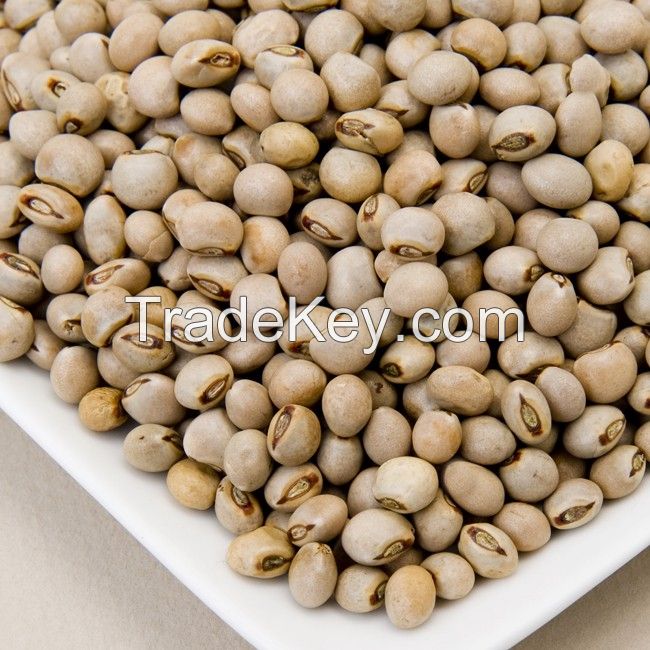 Pigeon Peas