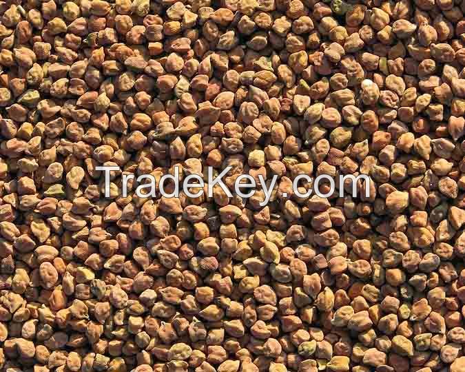 Chick Peas (Deshi Chana)