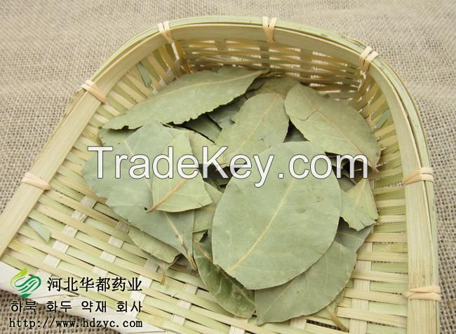 Myrcia/ Bay leaves