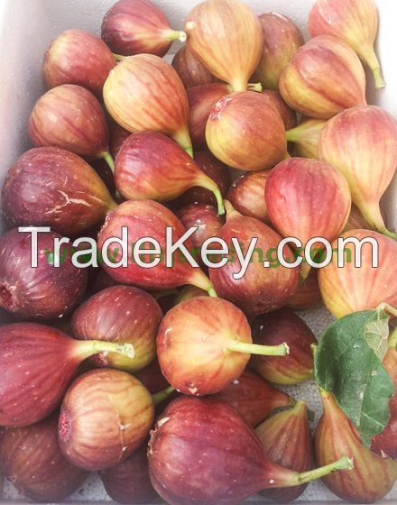 Good Quality Preserved Figs