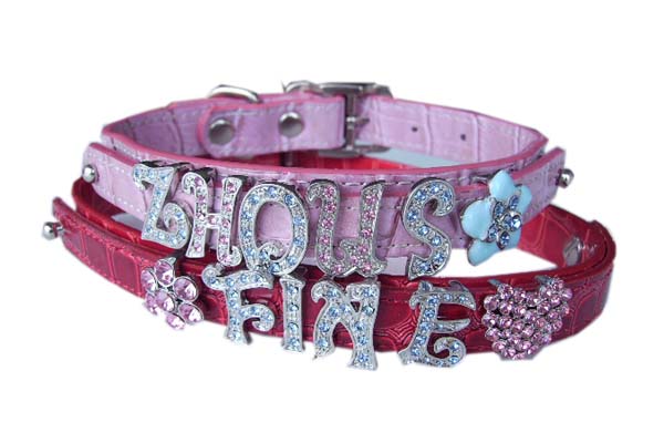 Pet Collars & Leashes