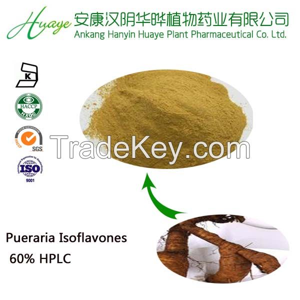 Pueraria Isflacones powder Extract/Pueraria Flavones 60%