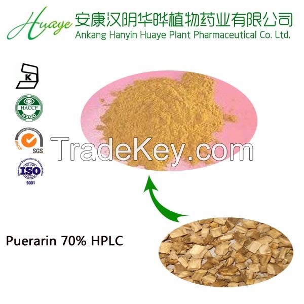 Chinese natural herbal plant Pueraria extract 70% puerarin