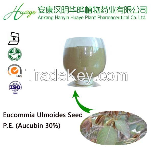 Chinese natural herbal plant Chlorogenic Acid10%-98%