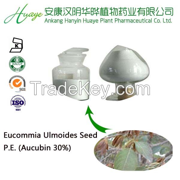Chinese natural herbal plant Chlorogenic Acid10%-98%