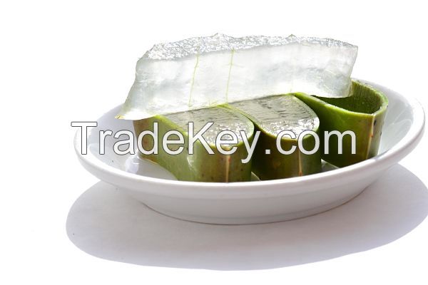 Aloe Vera Gel