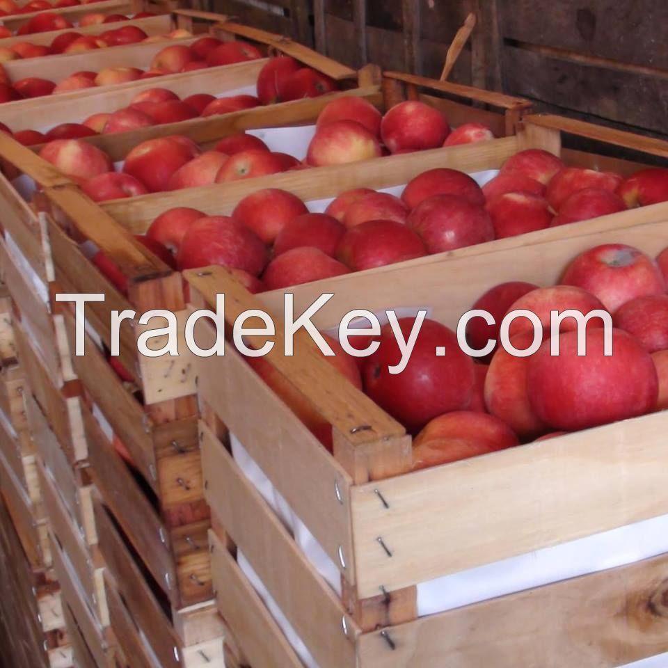 Traiding and export with FRESH FRUITS and FRESH VEGETABLES