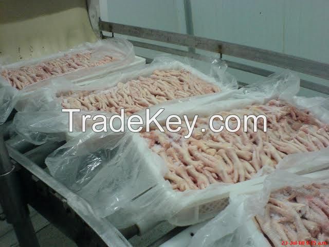 High Quality Processed A-Grade Chicken Feet