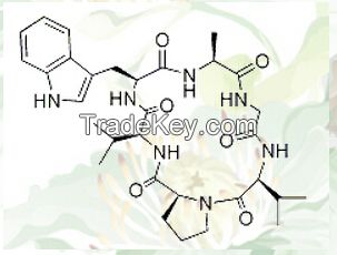 Segetalin A