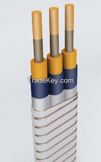 Electric Submersible Pump Cable for Oil Well