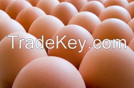 Fresh Eggs (Brown Shell)