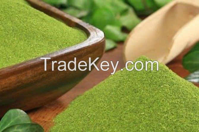 bulk moringa powder, moringa seed powder, moringa leaf powder