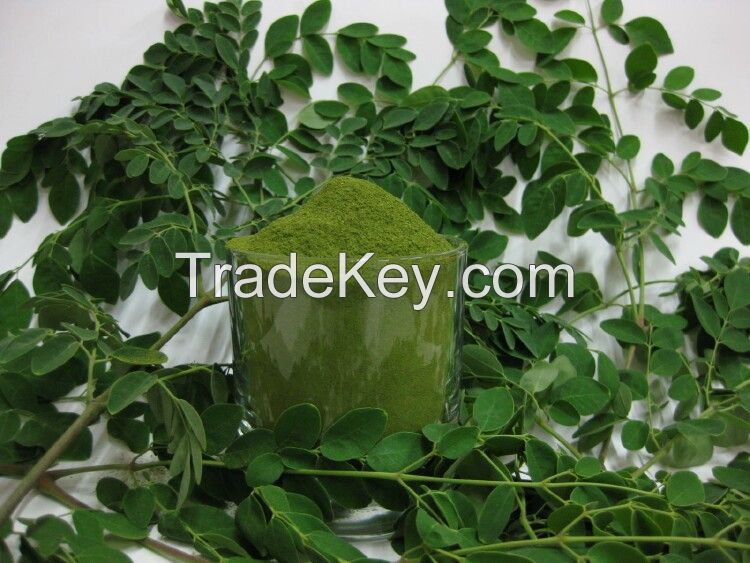 Moringa Powder