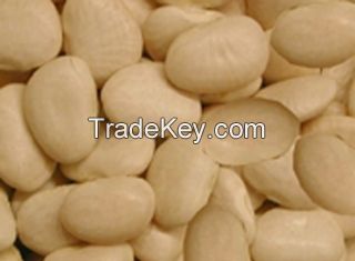 new crop lima beans, mung beans, Soybean