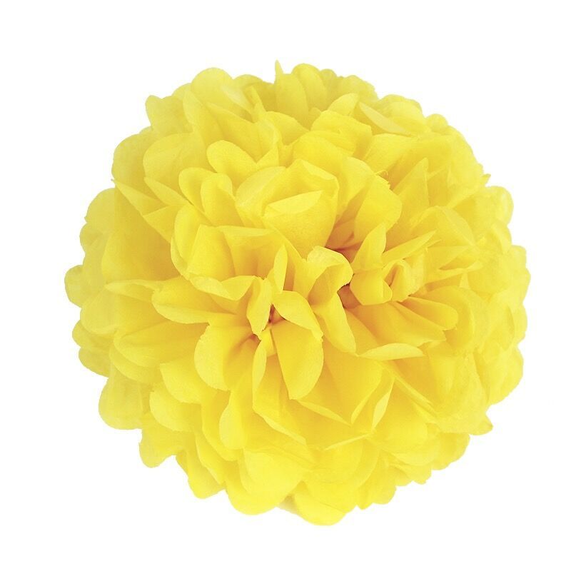 Wholesale Tissue Paper Pom Poms