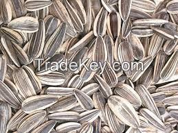 SUNFLOWER SEEDS of all grades and sizes for human consumption