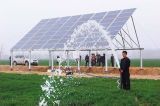 Stainless Steel Solar Pump System for Agricultural Irrigation