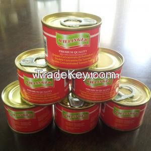tomato paste 28-30% in can  2200g