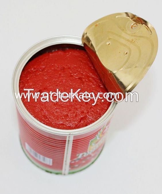 tomato paste 28-30% in can  800g