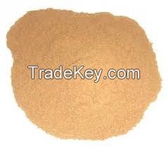 Coconut Shell Powders