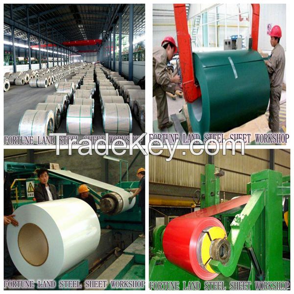 Prepainted galvanized steel coil