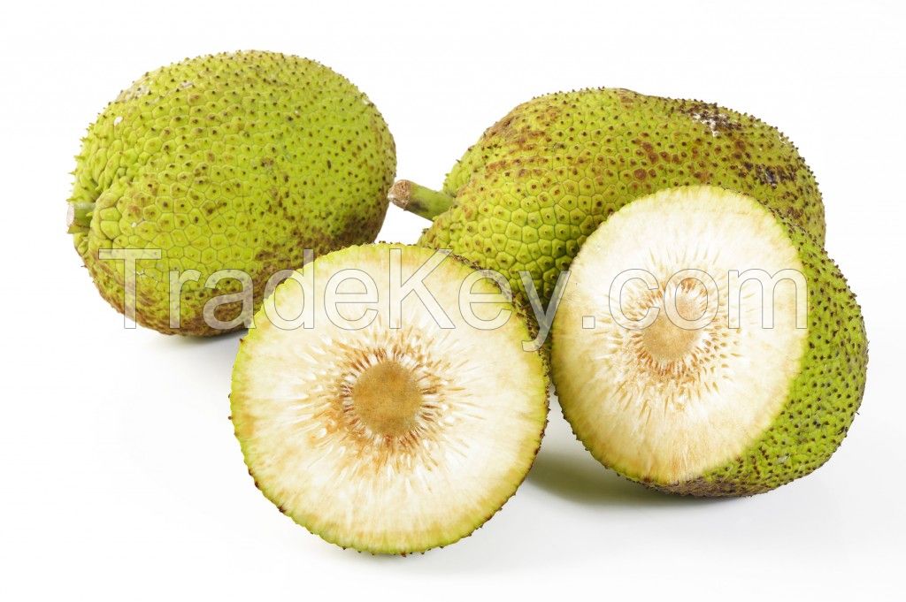 Bredfruit