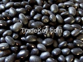 Small Black beans, new crop, HPS,
