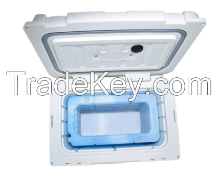 Plastic Refrigerated Box 10L, 12L, 17L