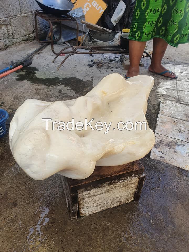 Giant clam pearl for on sale sale