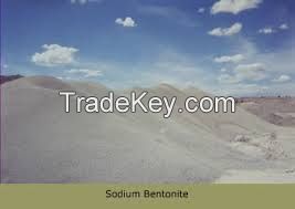 Raw Sodium Bentonite