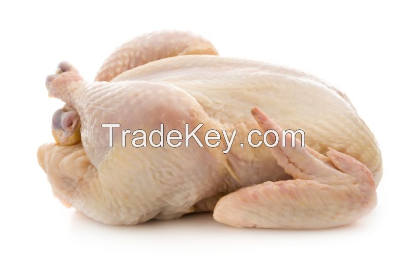 GRADE A HALAL WHOLE CHICKEN FOR EXPORT