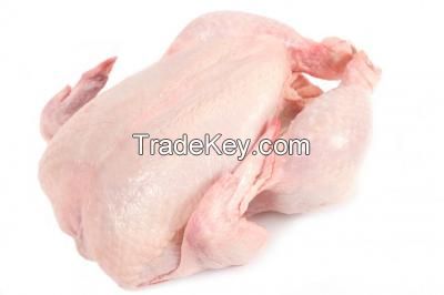 GRADE A HALAL WHOLE CHICKEN - TURKEY ORIGIN