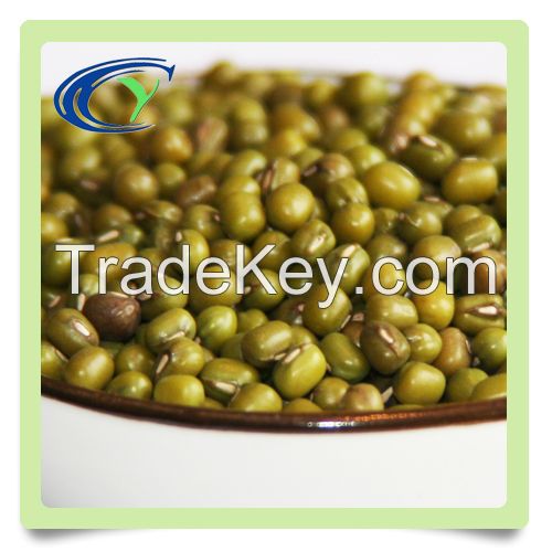 high quality Green mung bean low price