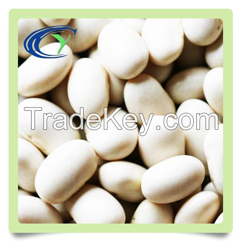 high quality white kidney beans low price