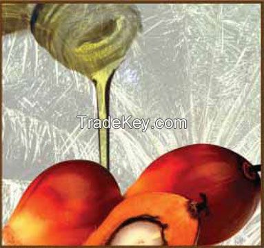 Crude Palm Oil-CPO